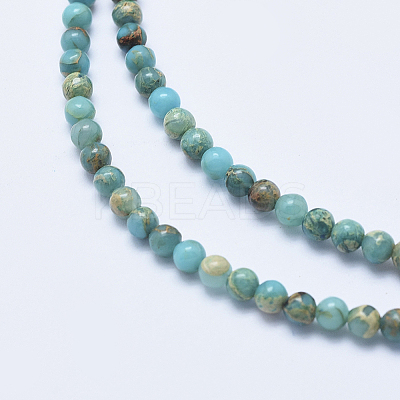 Natural Aqua Terra Jasper Beads Strands LS-G-E444-14A-4mm-1