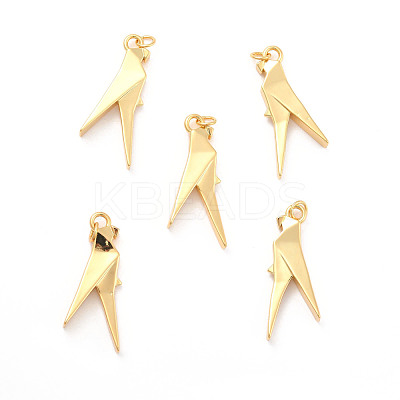 Rack Plating Brass Pendants KK-B052-12G-1