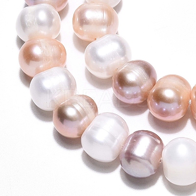 Natural Cultured Freshwater Pearl Beads Strands PEAR-N013-06-A-03-1