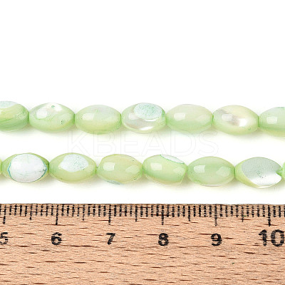 Natural Trochus Shell Beads Strands SHEL-K006-19-01C-1