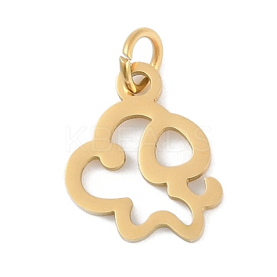 304 Stainless Steel Pendants STAS-L279-001G-01-1