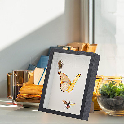 DIY Insect Specimen Display Box Kits DIY-GL0006-09-1