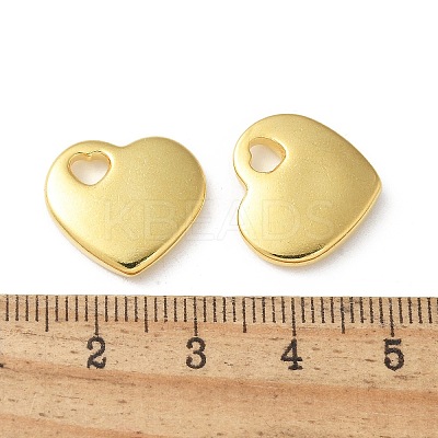 304 Stainless Steel Pendants STAS-I330-031G-1