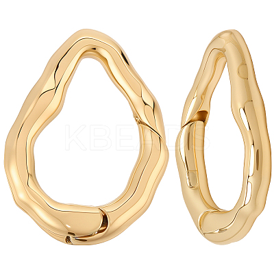 6Pcs Brass Spring Gate Clasps FIND-SC0020-67D-1