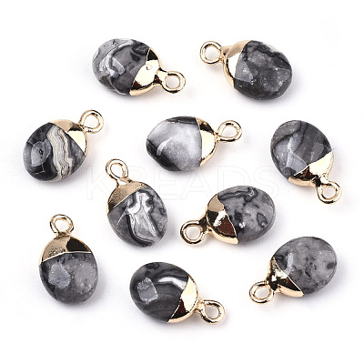 Natural Map Stone/Picasso Stone/Picasso Jasper Charms G-N326-58B-1