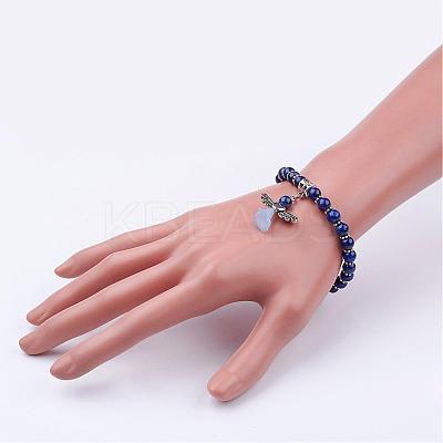 Natural Gemstone Beads Stretch Charm Bracelets BJEW-JB02592-1