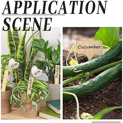 Bamboo Plant Labels TOOL-GA0001-20-1