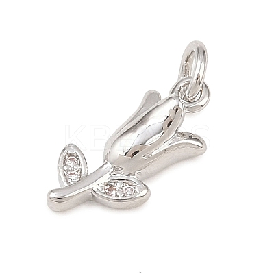 Brass Micro Pave Clear Cubic Zirconia Charms KK-G544-06P-01-1