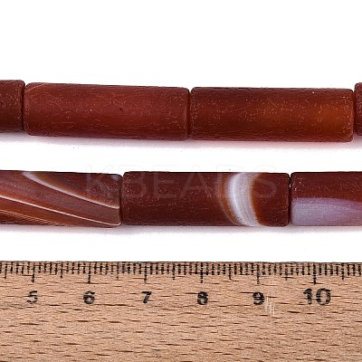Natural Banded Agate Beads Strands G-Q606-23G-1