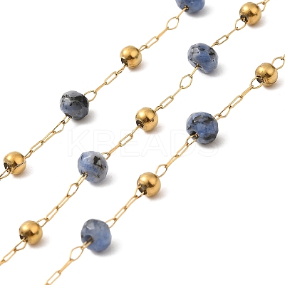 304 Stainless Steel Handmade Beaded Chains CHS-P017-A02-G-1