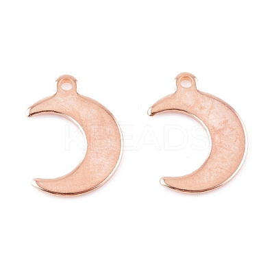 304 Stainless Steel Charms STAS-H557-31RG-1