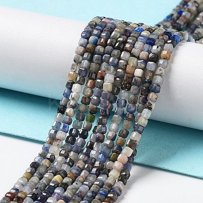 Natural Sodalite Beads Strands G-J400-A06-01-1