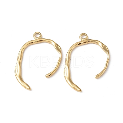 Ion Plating(IP) 304 Stainless Steel Pendants STAS-C066-22G-1