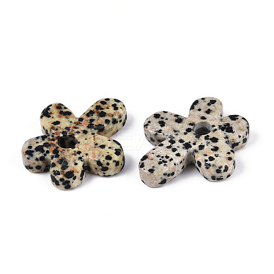 Natural Dalmatian Jasper Pendants G-T142-44H-1