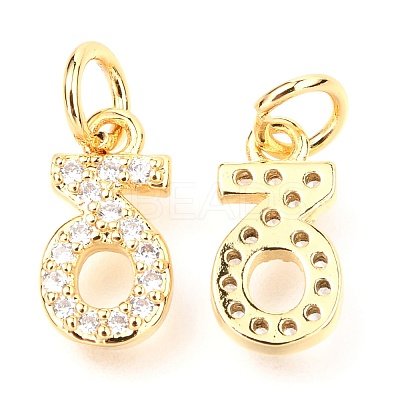 Brass Micro Pave Cubic Zirconia Charms ZIRC-O037-21G-1