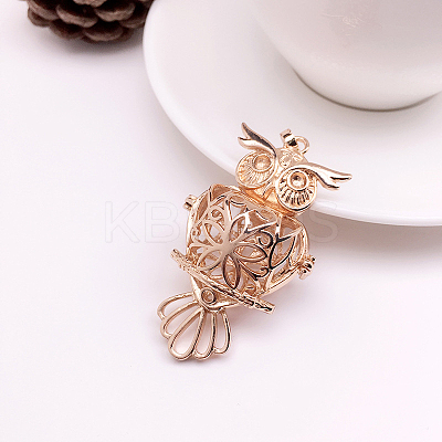 Brass Bead Cage Pendants FIND-PW0008-05KCG-1