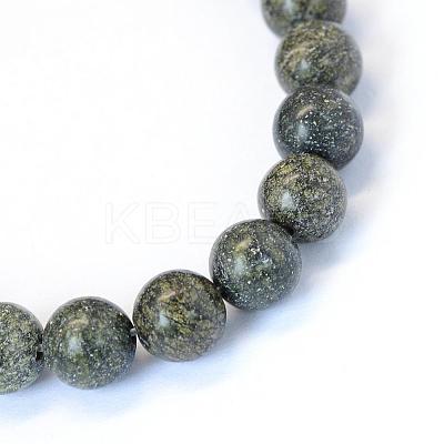 Natural Serpentine/Green Lace Stone Round Bead Strands G-E334-8mm-14-1