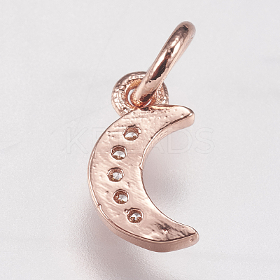 Brass Micro Pave Cubic Zirconia Charms ZIRC-E147-59RG-1