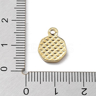304 Stainless Steel Charms LS-STAS-K271-03G-1