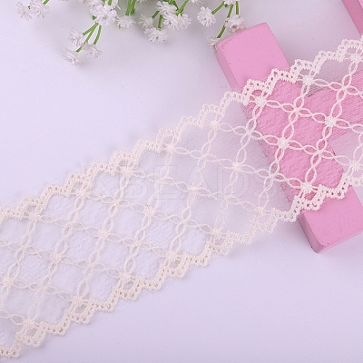 Polyester Lace Trim Ribbons PW-WG34220-03-1-1
