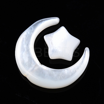 Natural White Shell Beads Sets SSHEL-N032-52A-01-1