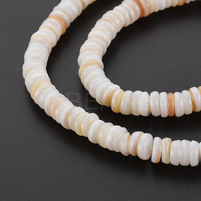 Natural Freshwater Shell Beads Strands SHEL-T018-31-1