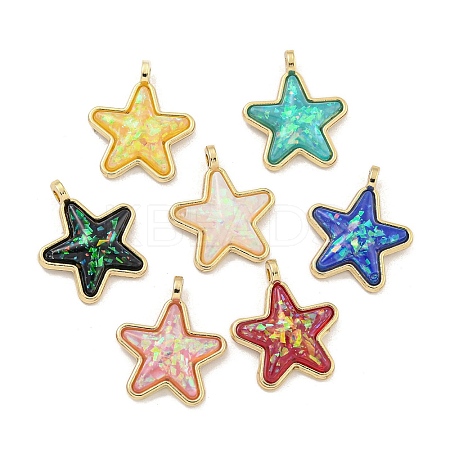 Translucent Resin Pendants KK-M291-24-1