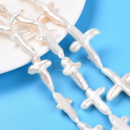 Natural Keshi Pearl Beads Strands PEAR-S020-M04-1