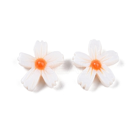Natural Freshwater Shell Beads Strands X-SHEL-F004-04-01-1