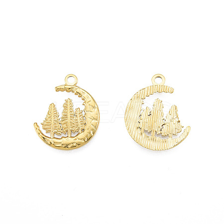Ion Plating(IP) 201 Stainless Steel Pendants LS-STAS-N098-233LG-1