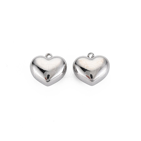 Non-Tarnish 304 Stainless Steel Charms LS-STAS-N097-148P-1
