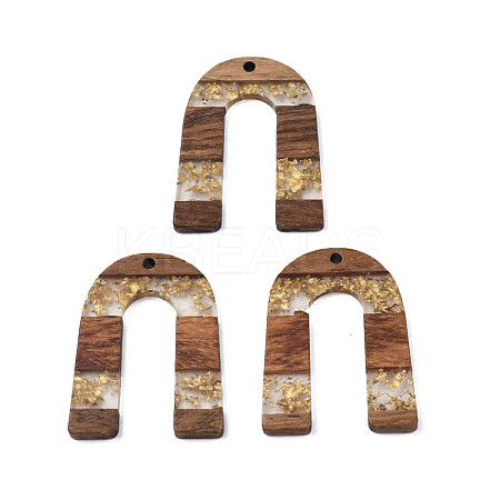 Transparent Resin & Waxed Walnut Wood Pendants RESI-Q211-02A-1