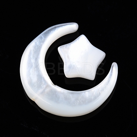Natural White Shell Beads Sets SSHEL-N032-52A-01-1