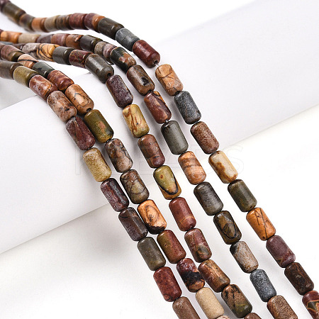 Natural Picasso Jasper/Polychrome Jasper Beads Strands G-N346-01A-05-1