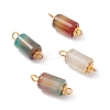 Natural Peacock Agate Link Connectors PALLOY-JF01083-03-1