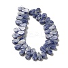 Natural Blue Spot Jasper Beads Strands G-B064-B59-3
