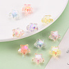 Transparent Acrylic Beads TACR-S152-02D-6