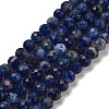 Natural Sodalite Beads Strands G-B088-C03-04-1