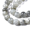 Natural Labradorite Round Beads Strands G-S158-8mm-3