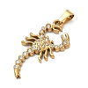 304 Stainless Steel Pendants STAS-F336-12G-01-2