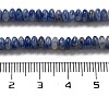 Natural Blue Spot Jasper Beads Strands G-K343-C18-01-5
