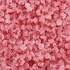 Frosted Glass Seed Beads SEED-N012-01J-3