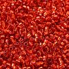 Glass Seed Beads SEED-S042-04B-10-3