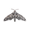 Moon Phase Moth Alloy Brooch Pin JEWB-Z031-06AS-1