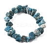 Natural Apatite Beads Strands G-I283-F23-3