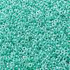 MIYUKI Round Rocailles Beads SEED-X0055-RR0536-3