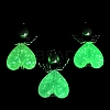Luminous Transparent Acrylic Pendants PALLOY-JF04204-02-2