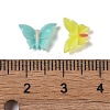 Luminous Resin Decoden Cabochons RESI-K036-17-5