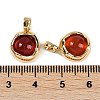Natural Carnelian(Dyed & Heated) Charms KK-P283-51G-3