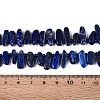 Natural Lapis Lazuli Beads Strands G-Z091-A23-5